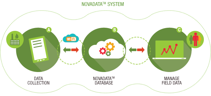 Nova Data System